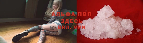 спиды Елизово
