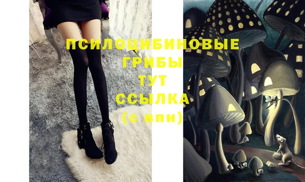 прущая мука Елабуга