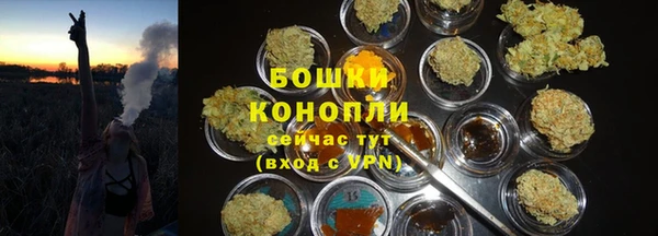 спиды Елизово