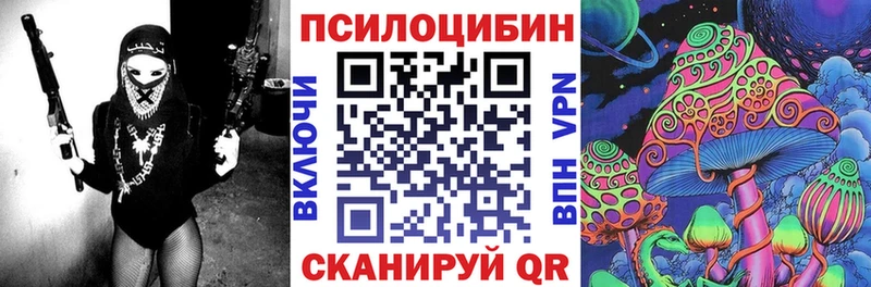 Галлюциногенные грибы мицелий  Купить где  Сольвычегодск 